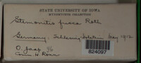 Image Associated With the Occurence